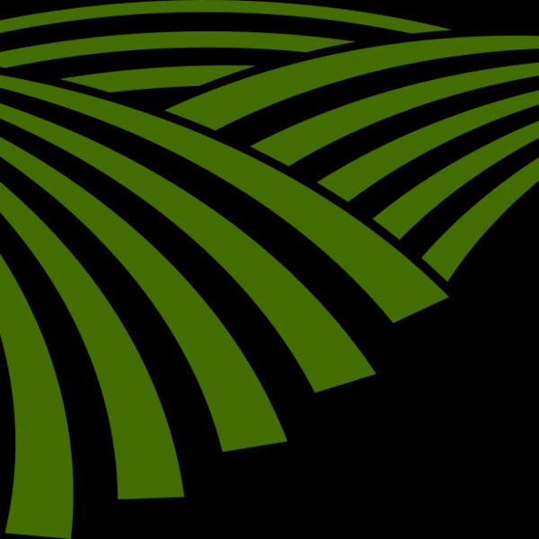 71 Rice Field Thumbnail