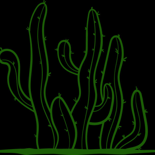 Cactus 2 Thumbnail
