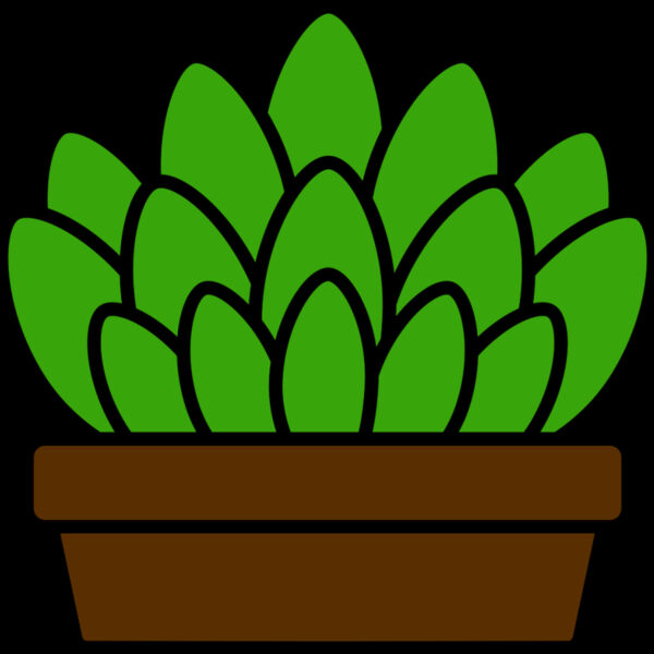 Succulent Plant Thumbnail