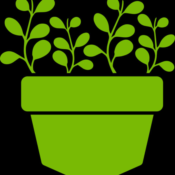 Succulent Plant 3 Thumbnail