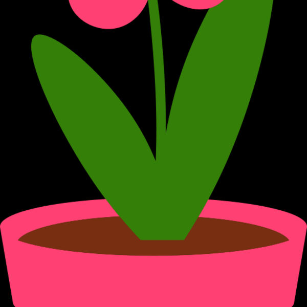 Plant 4 Thumbnail