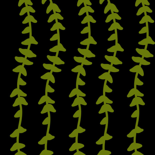 Hanging Plants 2 Thumbnail