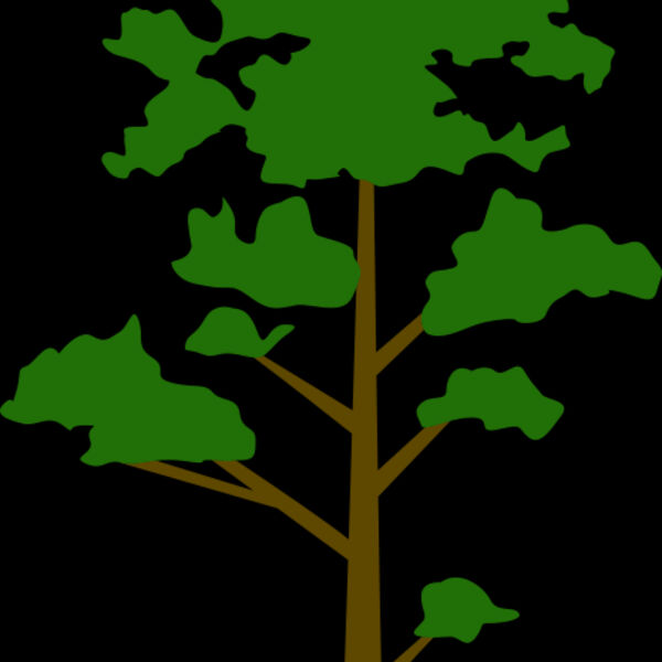 Tree Plant 8 Thumbnail